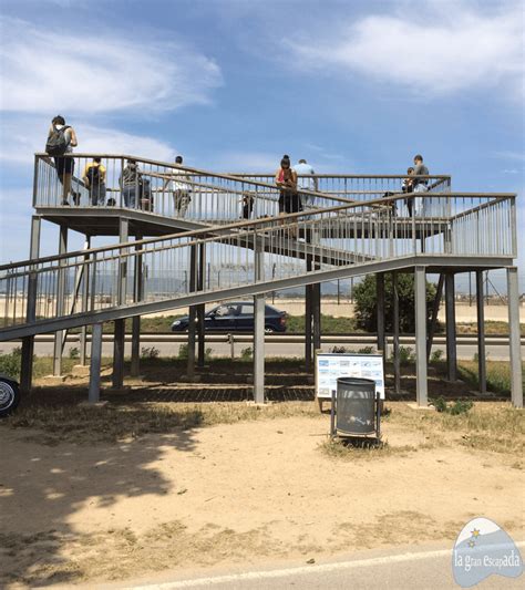 mirador del prat|Mirador de aviones en el Prat del Llobregat